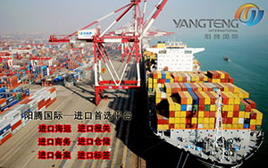 高效通關：上海機場進口報關助您貿易無憂